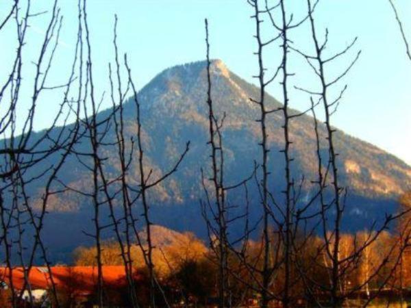 Zaissererhof 브란넨부르크 객실 사진